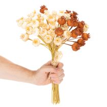 položky Sušené umělé lusky maku, kytice tří barev, 40 cm, 45 kusů