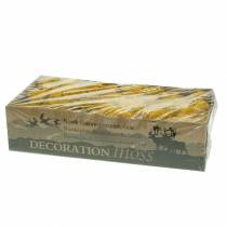 položky Sobí mech žlutý 400g