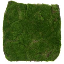 položky Mechová podložka zelená 35 cm x 35 cm