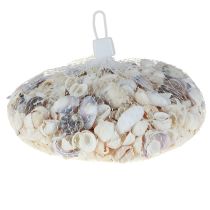 položky Dekorace z lastury mini koukol šnečí ulity 1-3cm 340g