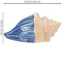 položky Shell Decoration Maritime Ceramic Blue Beige 16,5×11×9,5cm 2 ks