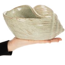položky Keramická miska s motivem mušlí pro elegantní dekoraci do obývacího pokoje, 23 cm