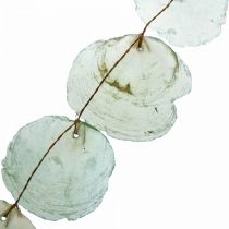 Shell Deco Capiz Garland Shell Garland Green 100cm