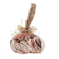 položky Dekorace mušle skutečné mušle různé druhy 300g