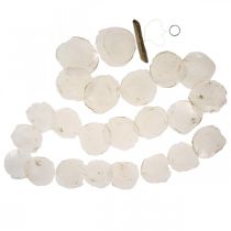 položky Shell Garland Mother of Pearl Shell Garland Capiz 195cm