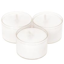 položky Noční svíčky Tealights White v plastovém tácku 8 hodin 50 kusů