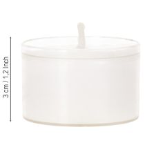 položky Noční svíčky Tealights White v plastovém tácku 8 hodin 50 kusů