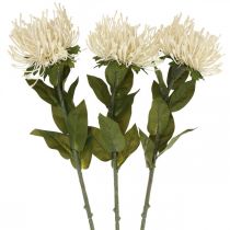 Jehelníkové umělé květiny exotická protea leucospermum krém 73cm 3ks