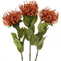 položky Jehelníček Exotický umělý květ Pomeranč Leucospermum Protea 73cm 3ks