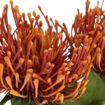 položky Jehelníček Exotický umělý květ Pomeranč Leucospermum Protea 73cm 3ks
