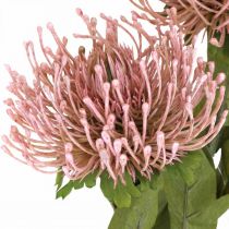 položky Podzimní květinový jehelníček umělý Protea Rosa Leucospermum 73cm 3ks