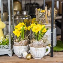 Narcis v květináči narcis žlutá umělá květina V21cm