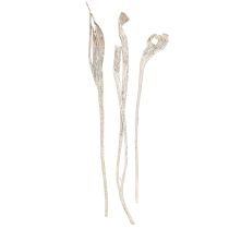 položky Natraj Paroh Wood Mix White Washed 10 ks