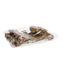 položky Nerifolia Bud 25 ks