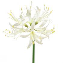 položky Nerine Guernsey Lily Umělý květ Bílá Žlutá Ø15cm L65cm