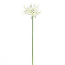 položky Nerine Guernsey Lily Umělý květ Bílá Žlutá Ø15cm L65cm