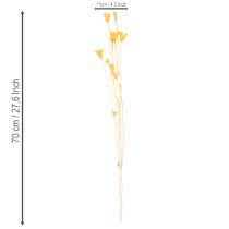 položky Aranžmá ze sušených květin Nigella pro dlouhodobé použití. Elegantní poutavý prvek. 70 cm 50 g