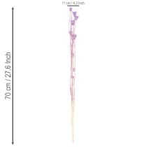 položky Kytice sušených květů Nigella, dekorativní použití v obývacím pokoji, vytváří jedinečnou atmosféru, 70 cm, 50 g