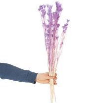 položky Kytice sušených květů Nigella, dekorativní použití v obývacím pokoji, vytváří jedinečnou atmosféru, 70 cm, 50 g