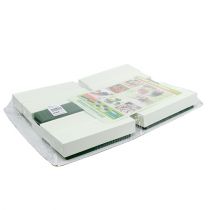 položky Květinová dekorace na stůl z pěnových cihel zelená 22cm x 7cm x 5cm 10 ks