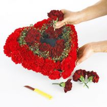 položky OASIS® Biolit® srdce malé 25cm 4 ks