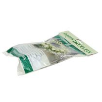 položky OASIS® Deco-Fix 10 ks