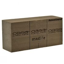 položky Oasis NatureSource Maxlife Floral Foam Brick Brown 23×11×7,5cm 1ks