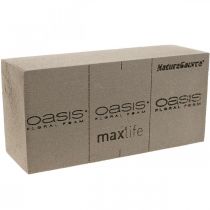 OASIS® BIOLIT® NatureSource cihlová květinová pěna 23cm×11cm×7cm 10 kusů