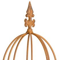 položky Zahradní treláž, pomůcka pro lezení růží a dalších popínavých rostlin, ideální zahradní design, 108 cm, sada 2 kusů.