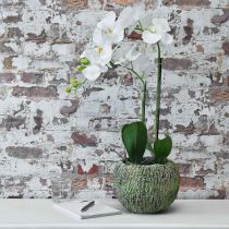 položky Květináč betonový starožitný vzhled zelený, hnědý květináč kulatý Ø15,5 cm