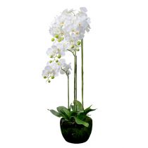 Orchidej bílá se zeměkoulí 110cm