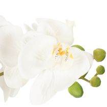 položky Umělá orchidej v květináči pro harmonickou atmosféru, bílá, 60 cm