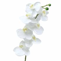 položky Umělá orchidej umělá květina bílá Ø6,5-8cm 77cm