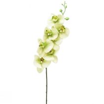 Orchidej umělá žlutá zelená Phalaenopsis L83cm
