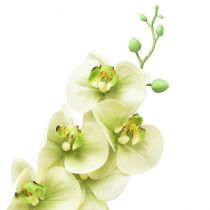 položky Orchidej umělá žlutá zelená Phalaenopsis L83cm