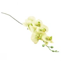 položky Orchidej umělá žlutá zelená Phalaenopsis L83cm
