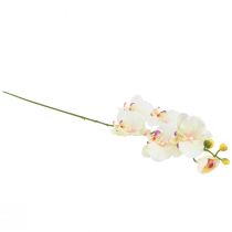 položky Orchidej Phalaenopsis umělá 6 květů krémově růžová 70cm