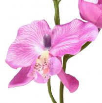 položky Orchidej Phalaenopsis umělá 6 květů fialová 70cm