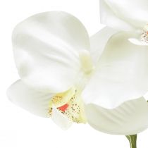 položky Orchidej Phalaenopsis umělá 6 květů bílá krémová 70cm