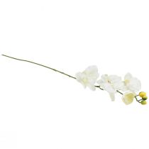 položky Orchideje Phalaenopsis umělé 6 květů bílá krémová 70cm