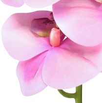 položky Orchideje Phalaenopsis umělé 8 květů růžové 104cm
