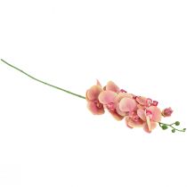 položky Orchidej Phalaenopsis umělá 9 květů růžová vanilka 96cm
