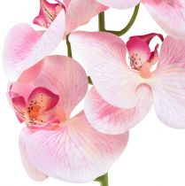 položky Orchidej Phalaenopsis umělá 9 květů růžová bílá 96cm