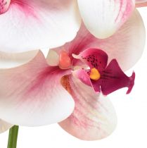 položky Orchideje Phalaenopsis umělé 9 květů bílá fuchsie 96cm