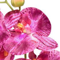 položky Orchidej flambovaná umělá Phalaenopsis fialová 72cm