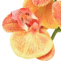 položky Umělá orchidej Phalaenopsis flambovaná červenožlutá 78cm