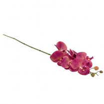 položky Umělá orchidej Phalaenopsis Orchid Fuchsia 78cm