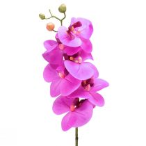 položky Umělá orchidej Phalaenopsis Orchid Pink 78cm