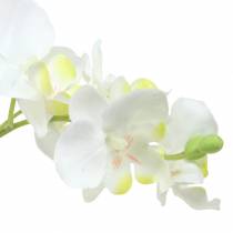 Orchideje bílé v květináči umělá rostlina H35cm