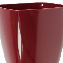 položky Květináč na orchidej lesklý Ø12,5cm Bordeaux 1 ks